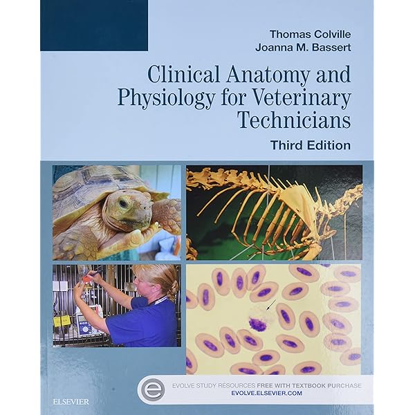 Laboratory Manual for Clinical Anatomy and Physiology for